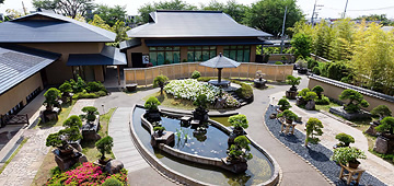 Le musée d'art du bonsaï Omiya, Saitama