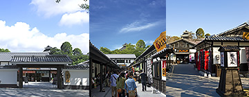 Кумамото цайз Сакуранобаба Жосайен интоорын цэцгийн гудамж