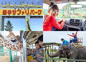 Parque Safari de Iwate