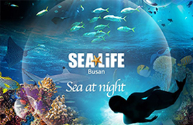 SEA LIFE Бусаны аквариум